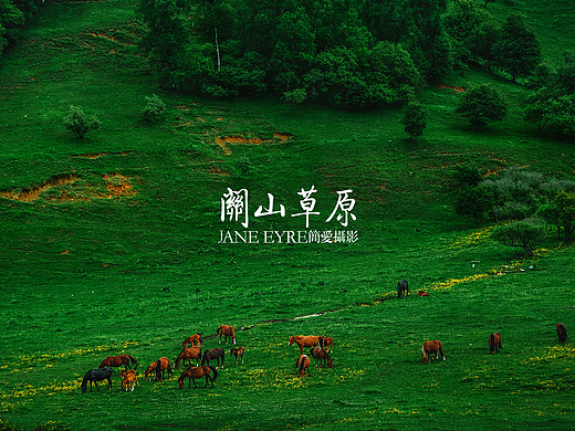 关山草原