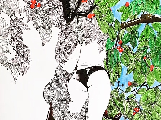 植物链