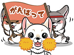 贴图