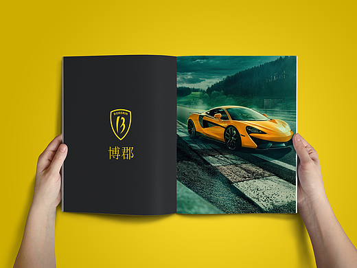 博郡汽车Bordrin（个人主页-ZMjYwMTk0MTI=） - Logo - 站酷设计师禹煜星宸原创素材 - 站酷ZCOOL