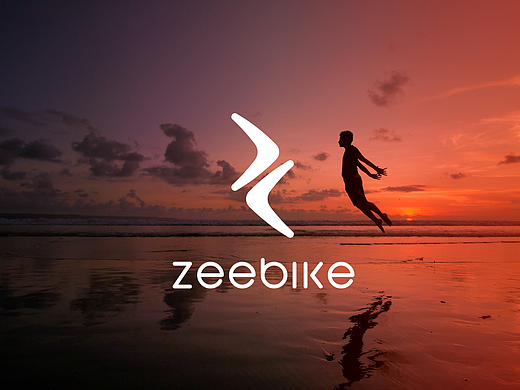 zeebike_vi视觉识别系统
