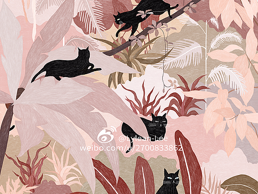 Stray cat