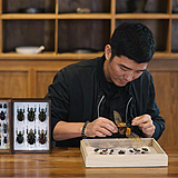 I虫趣汇I的头像