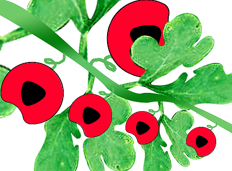 盛夏 小憩（個人主頁-ZMzExMDM3MTI=） - 圖案 - 站酷設(shè)計師叫啥捏原創(chuàng)素材 - 站酷ZCOOL