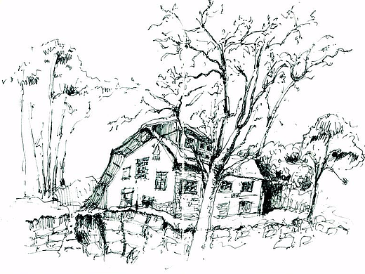 风景插画（个人主页-ZMjMzOTE4NDg=） - 创作习作 - 站酷设计师MUYI一木易插画原创素材 - 站酷ZCOOL