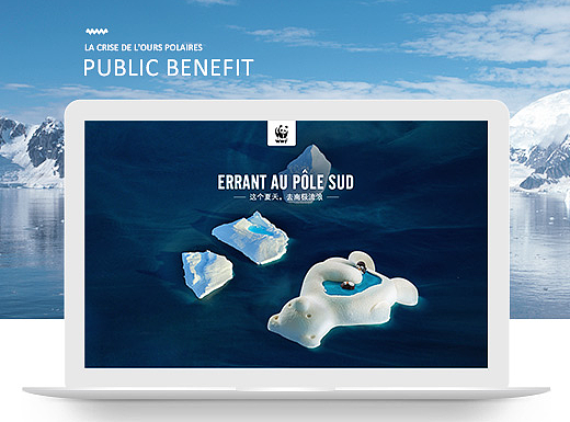 北极熊拯救计划“爱始于现在”（个人主页-ZMjMwNDk2ODA=） - 运营设计 - 站酷设计师coldtone原创素材 - 站酷ZCOOL