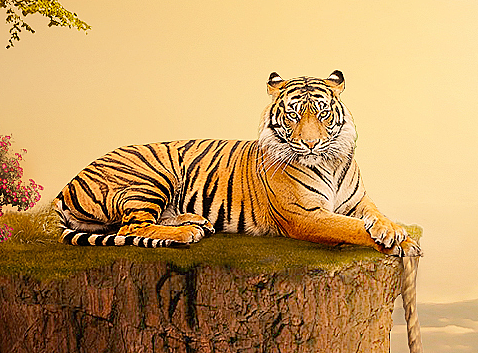 合成（个人主页-ZMjIxOTc3OTY=） - 其他平面 - 站酷设计师UU视觉设计原创素材 - 站酷ZCOOL