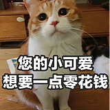 妞妞的姐姐的头像