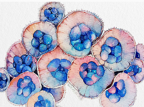 水彩画