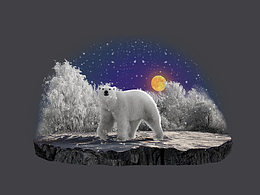 北极熊梦幻场景