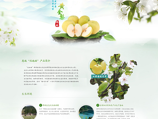 專題頁（個(gè)人主頁-ZMjM3MjMxMDA=） - 電商 - 站酷設(shè)計(jì)師啦啦P原創(chuàng)素材 - 站酷ZCOOL