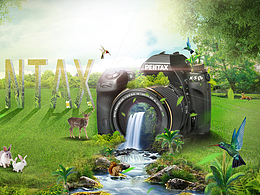 數(shù)碼相機(jī)