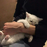 余生请多指教f的头像
