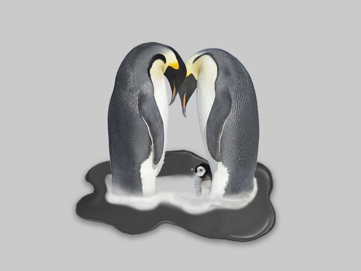 環(huán)保海報（個人主頁-ZMjM3NDYzNTY=） - 海報 - 站酷設(shè)計師ccchh原創(chuàng)素材 - 站酷ZCOOL