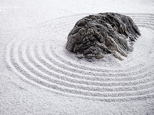 独尊建筑摄影：保利堂悦专业摄影图