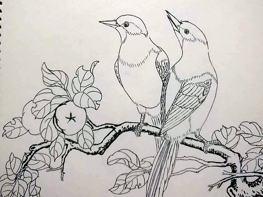 白描线稿（个人主页-ZMjIyMTUwMDQ=） - 绘画 - 站酷设计师三月的叶子原创素材 - 站酷ZCOOL