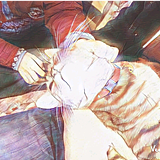 爱设计更爱猫的头像