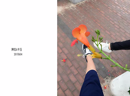 我的妹妹——小玉