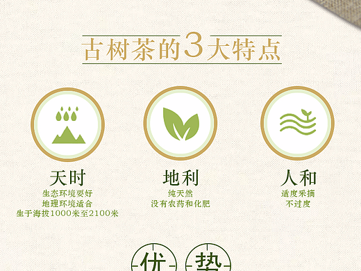 排版——古树普洱茶类宝贝详情页