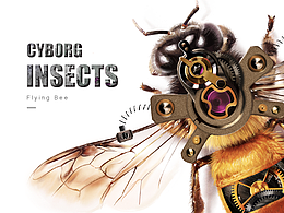 Cyborg Insects-BEE