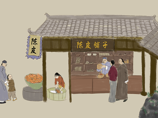 陈皮的记忆