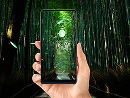 “曲”径通幽处