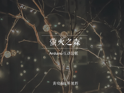 “萤火之森”--互动装置