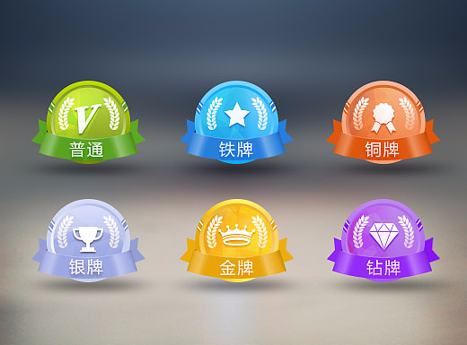 会员等级图标