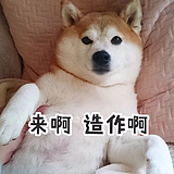 菜鸟快跑的头像