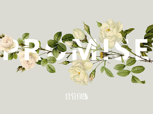 promise 宣傳類（個(gè)人主頁-ZMjMwMTMwMDQ=） - 宣傳物料 - 站酷設(shè)計(jì)師ZHjiajia原創(chuàng)素材 - 站酷ZCOOL