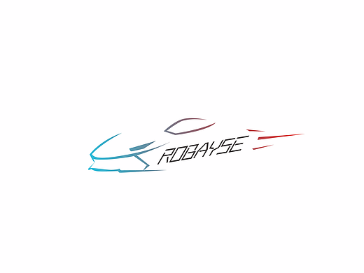 logo【汽车美容】ROBAYSE