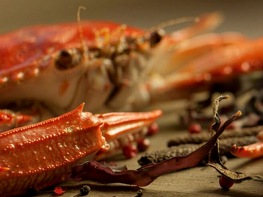 banner（个人主页-ZMjMyMDY4OTI=） - 运营设计 - 站酷设计师表达原创素材 - 站酷ZCOOL