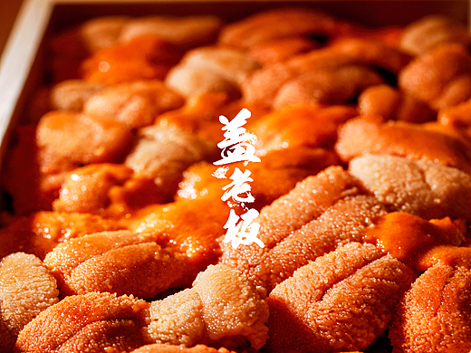 马粪海胆和赤海胆（个人主页-ZMjMyMDEzNjA=） - 产品摄影 - 站酷设计师盖老板原创素材 - 站酷ZCOOL