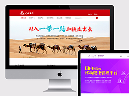 Web设计（医疗类）