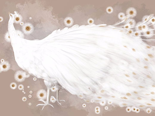 白孔雀?。▊€(gè)人主頁(yè)-ZMjI3MjY2NzY=） - 藝術(shù)插畫(huà) - 站酷設(shè)計(jì)師yf呼吸原創(chuàng)素材 - 站酷ZCOOL