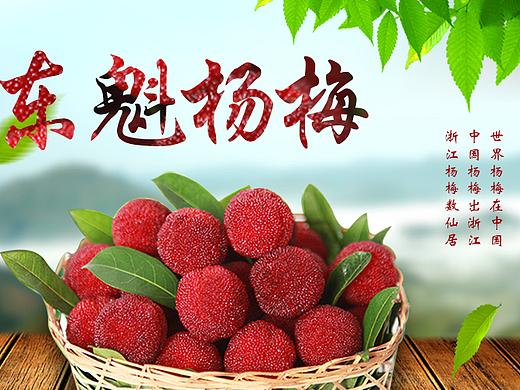 杨梅