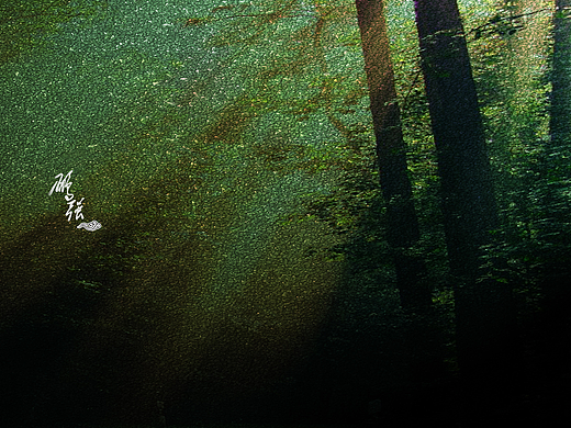 还是蛮喜欢深色调的东西。