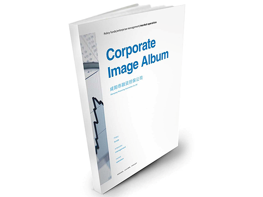 书籍封面（个人主页-ZMjIwNDEzMTY=） - 书籍/画册 - 站酷设计师混世不魔王原创素材 - 站酷ZCOOL