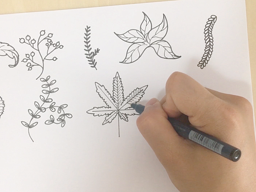 简笔画 | 叶子物语