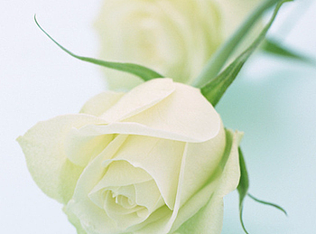 邂逅（個人主頁-ZMjMxODM1MzI=） - 海報 - 站酷設計師邢曉楠原創(chuàng)素材 - 站酷ZCOOL