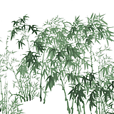 冷人心碎的头像