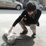 履带君的头像