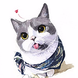凉笙猫猫的头像