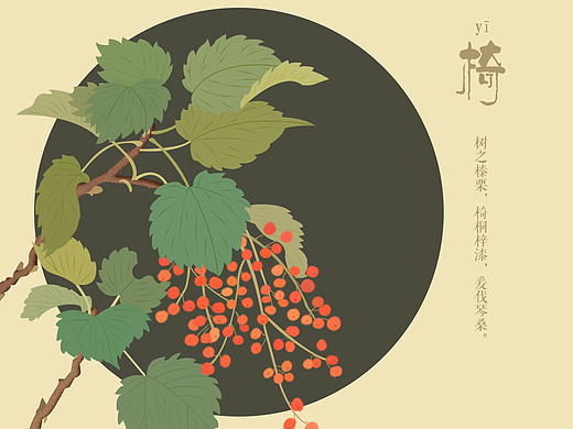 诗经名物图解——椅、括楼、杻、谖、桐