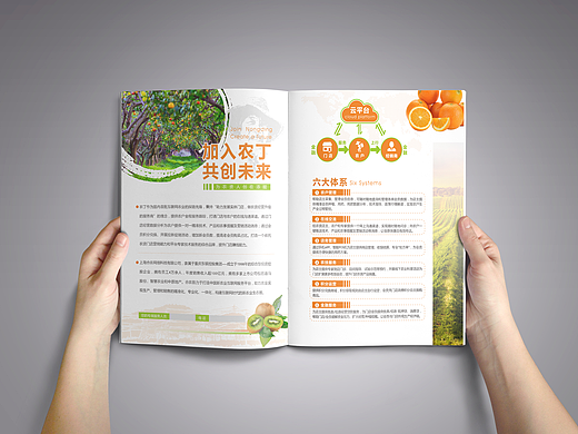 农丁宣传小单页