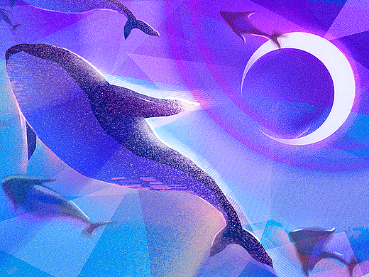 昨天晚上做了个梦........