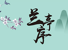 茶产品专题