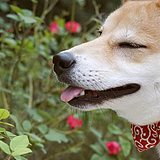 肖蕙泽的头像