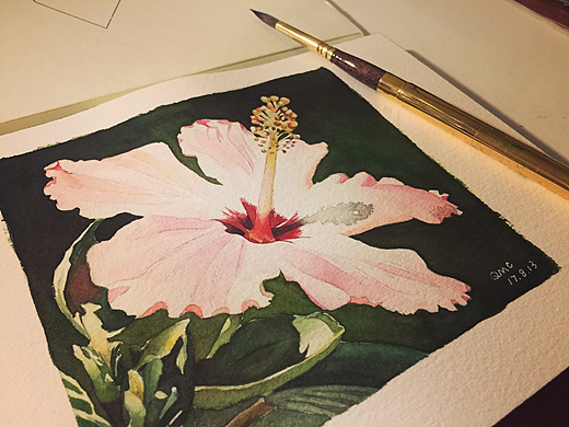 水彩手绘扶桑花