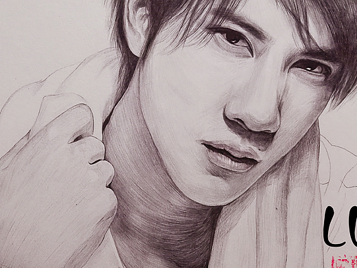 手绘圆珠笔画像王力宏